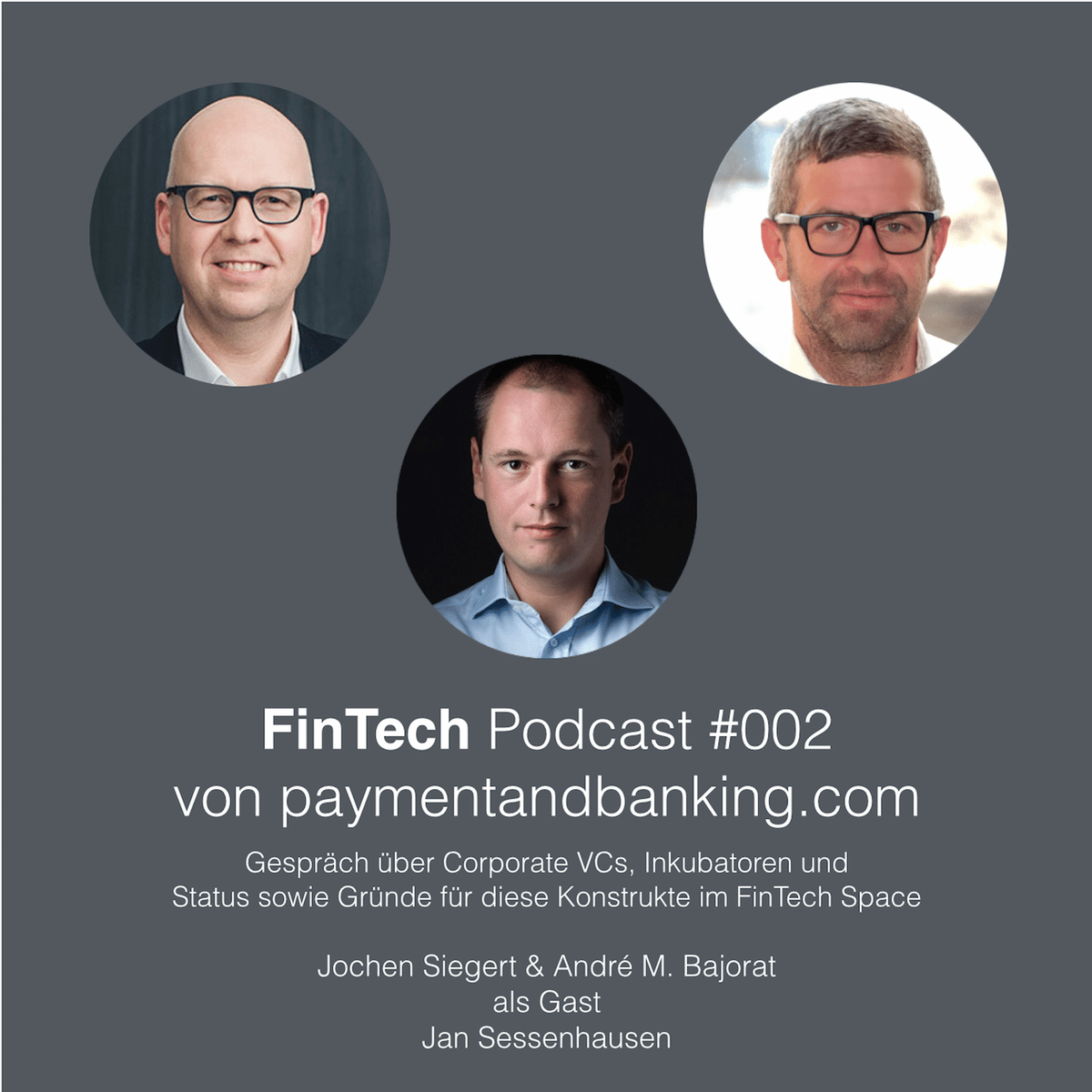 FinTech Podcast #002 – Corporate VCs und Inkubatoren im FinTech Space