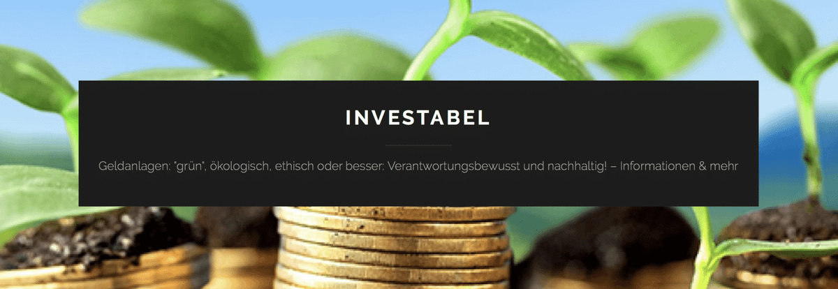 FinTech Vorstellung Investabel
