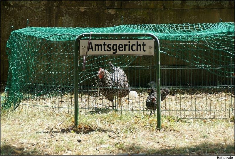 Rückschlag für den Handel...ach wirklich? BGH kippt Käuferschutz