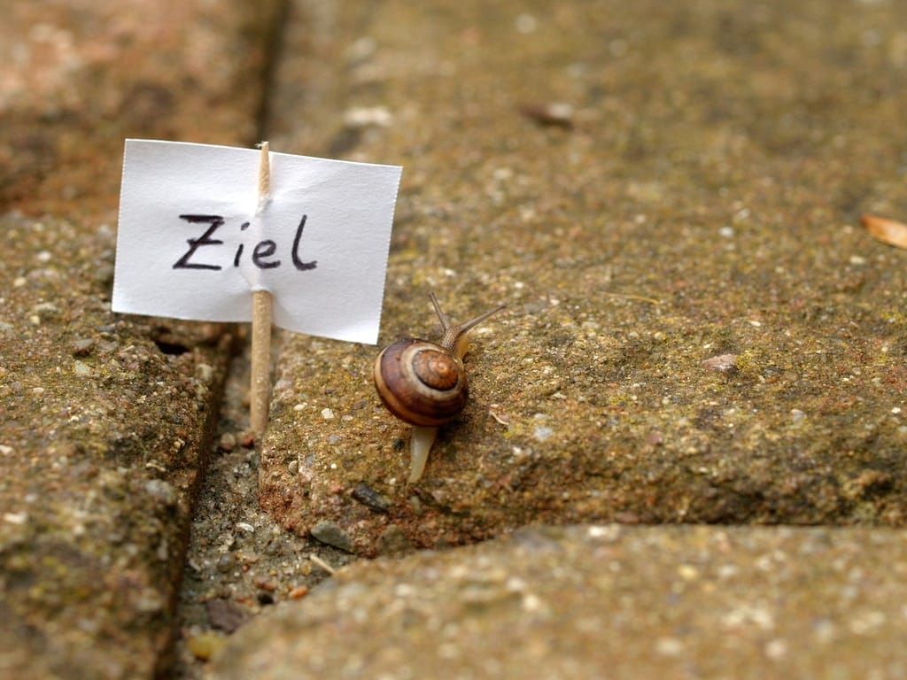 Können die Organisationen deutscher Konzerne erfolgreich sein?