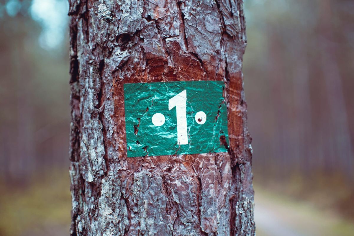 Ein Jahr PSD2 - Gibt's was zu feiern?