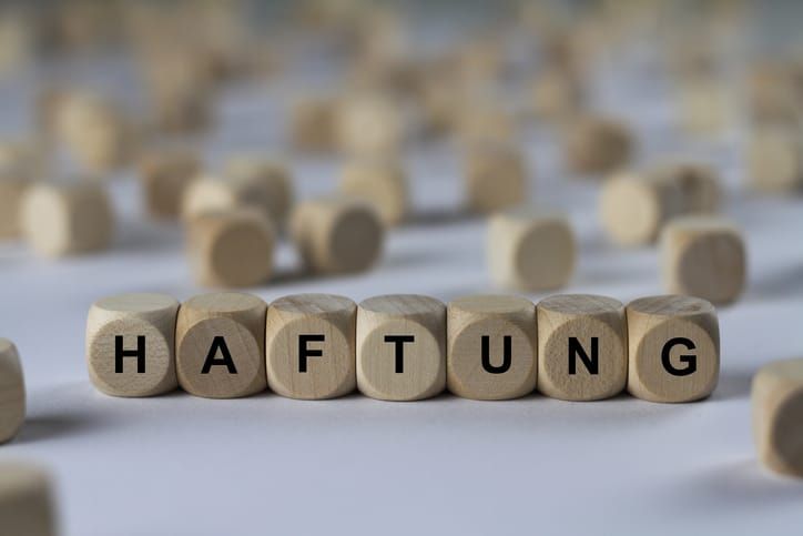 Bafin-Zulassung oder Haftungsdach - das ist hier die Frage...