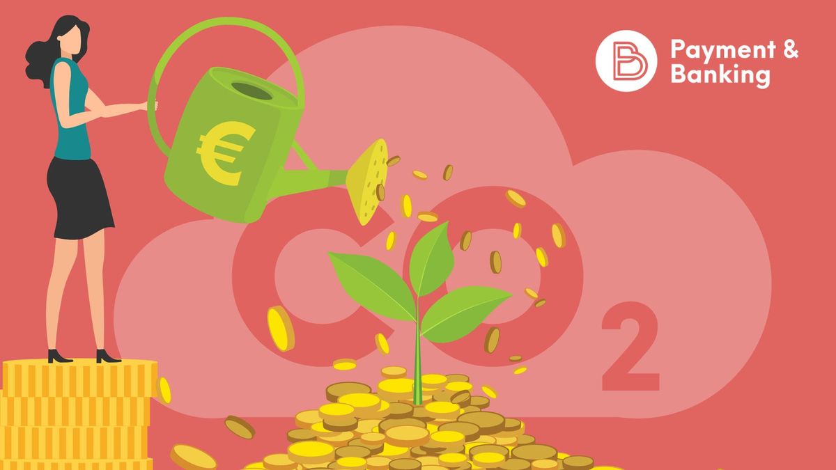 Der Impact-Investing-Anbieter ecoligo hat sich seine Investor:innen in Deutschlands fünf größten Städten angeschaut, um zu be
