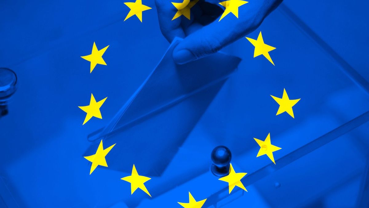 Das steht zu Finanzthemen in den Programmen zur Europawahl