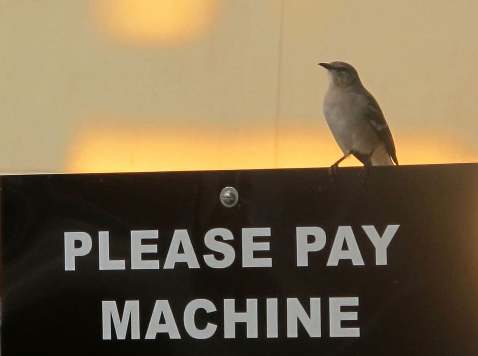 PayPal & Weltsparen
