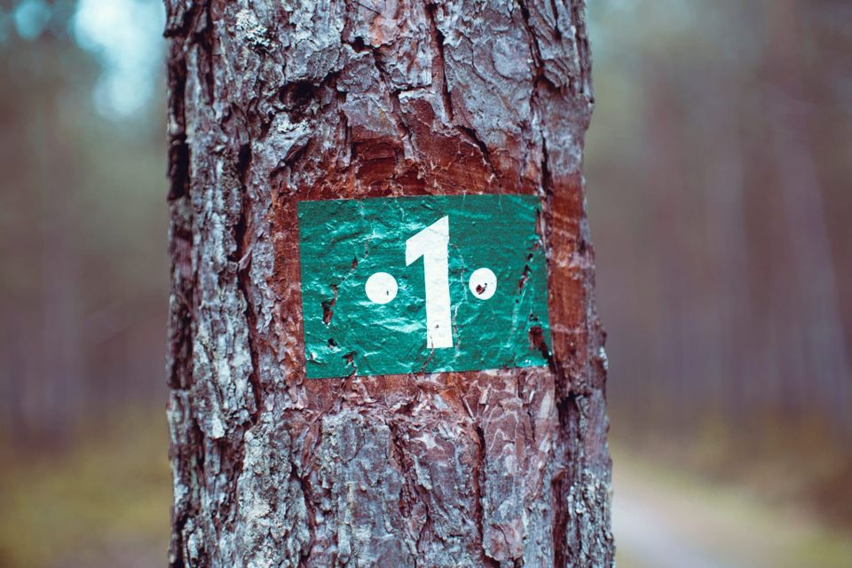 Ein Jahr PSD2  – Gibt’s was zu feiern?