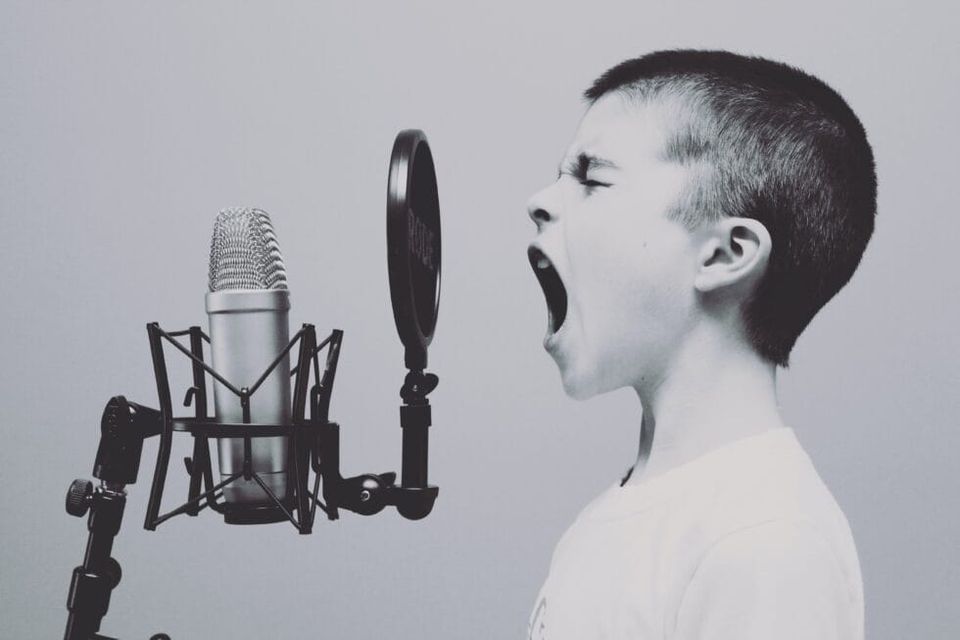 VoiceBank research project: Conversational Qualitative Banking