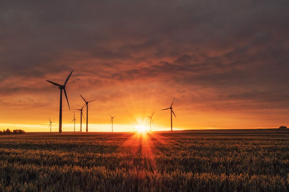 „Green“ investment opportunities increasingly popular