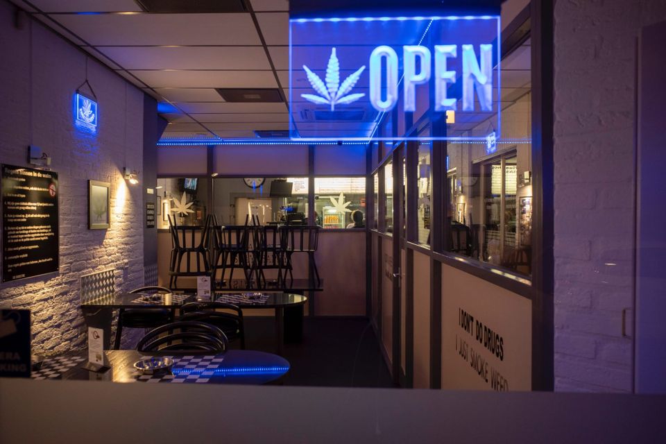 CBD als neue Asset-Klasse?