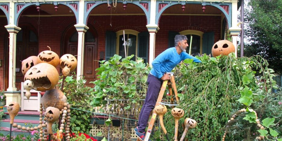 Puneet on a ladder, assembling his Halloween decorations