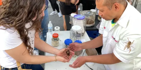 tow people passing a tarantula spider between each other's hands
