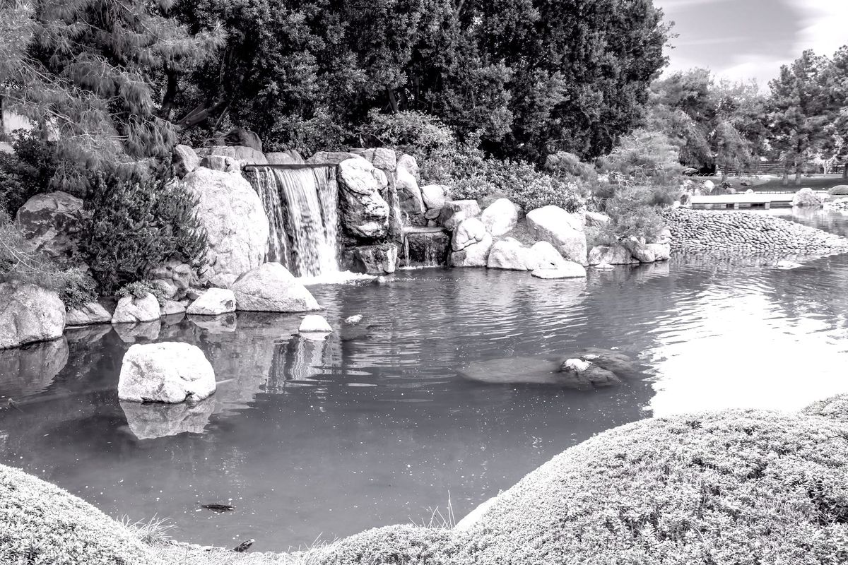 PsychoSpiritual Work / Purifying the Pond