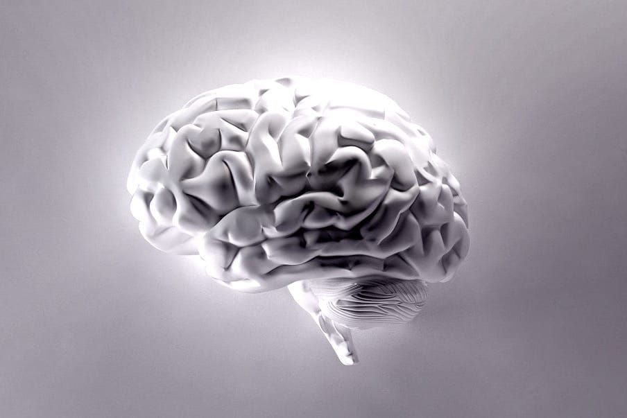 Leadership: Mental Models