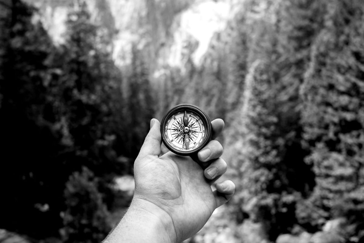 Leadership: Purpose, Values, Mission, Vision