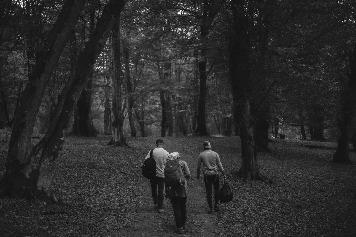 Community of Fellow Travelers