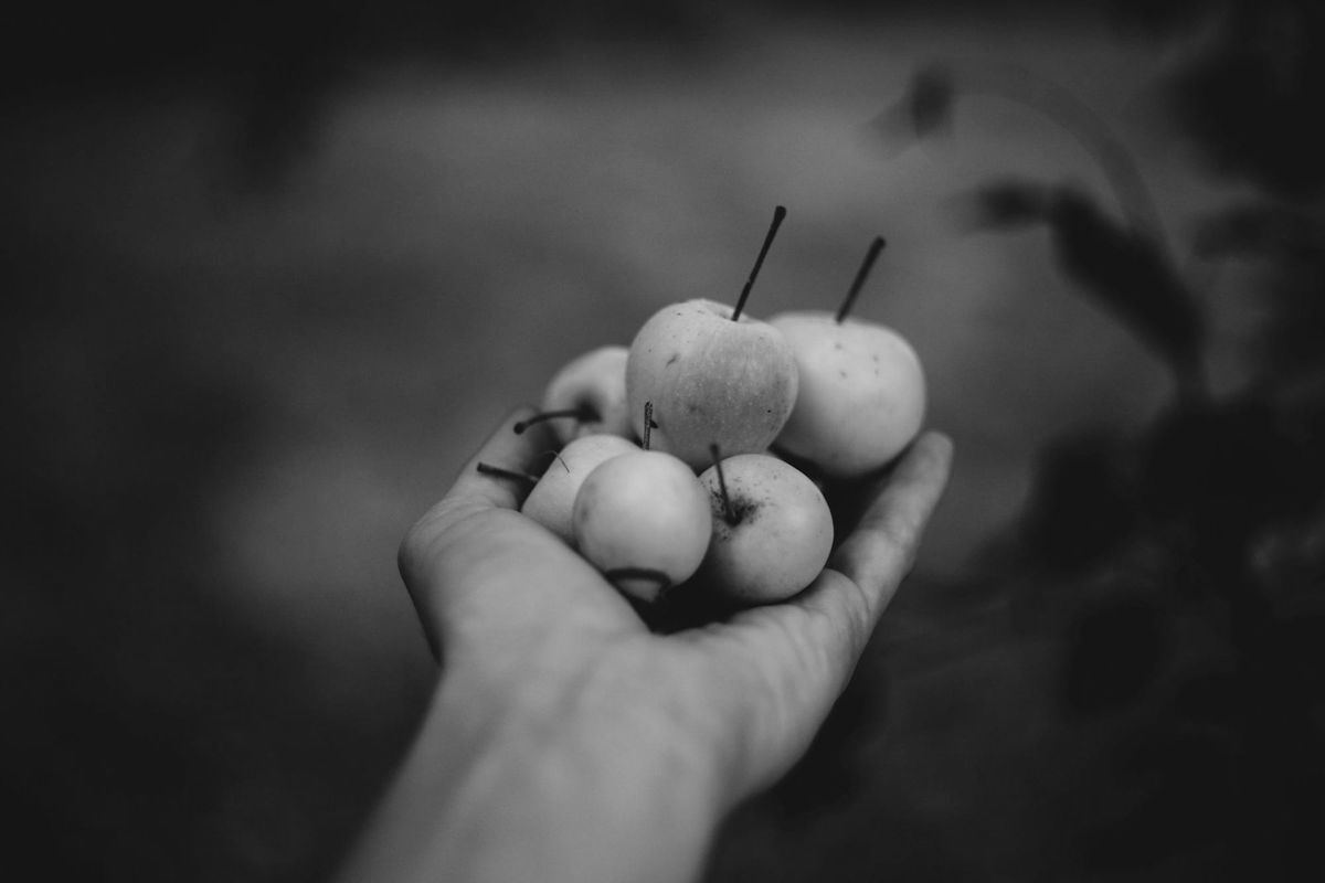 Week Two: Bearing Fruit/Spiritual Gifts.            January 8: Understand your Gifts to find your Calling