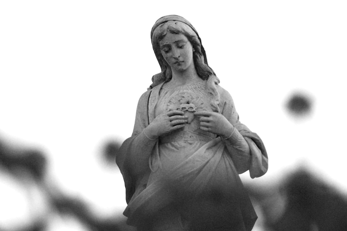 January 10: Let the Peace of Christ Rule your Heart