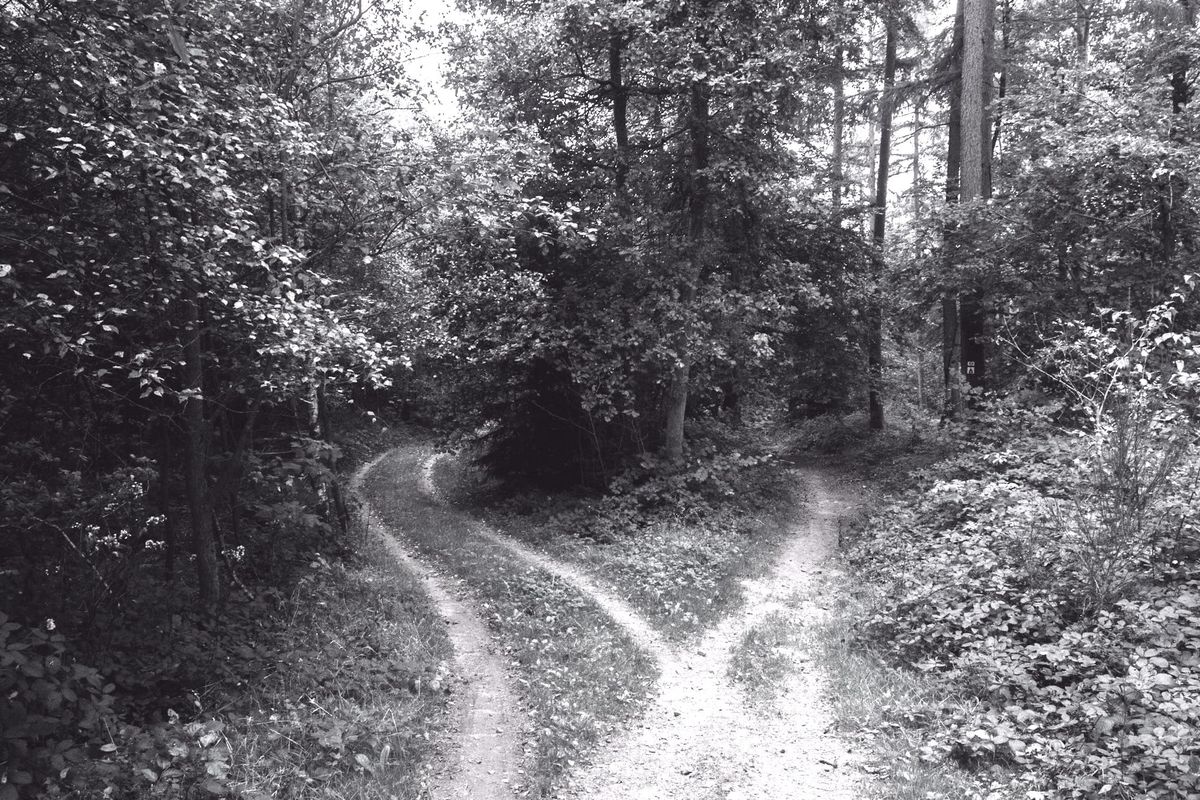 February 22: There’s Not One Path