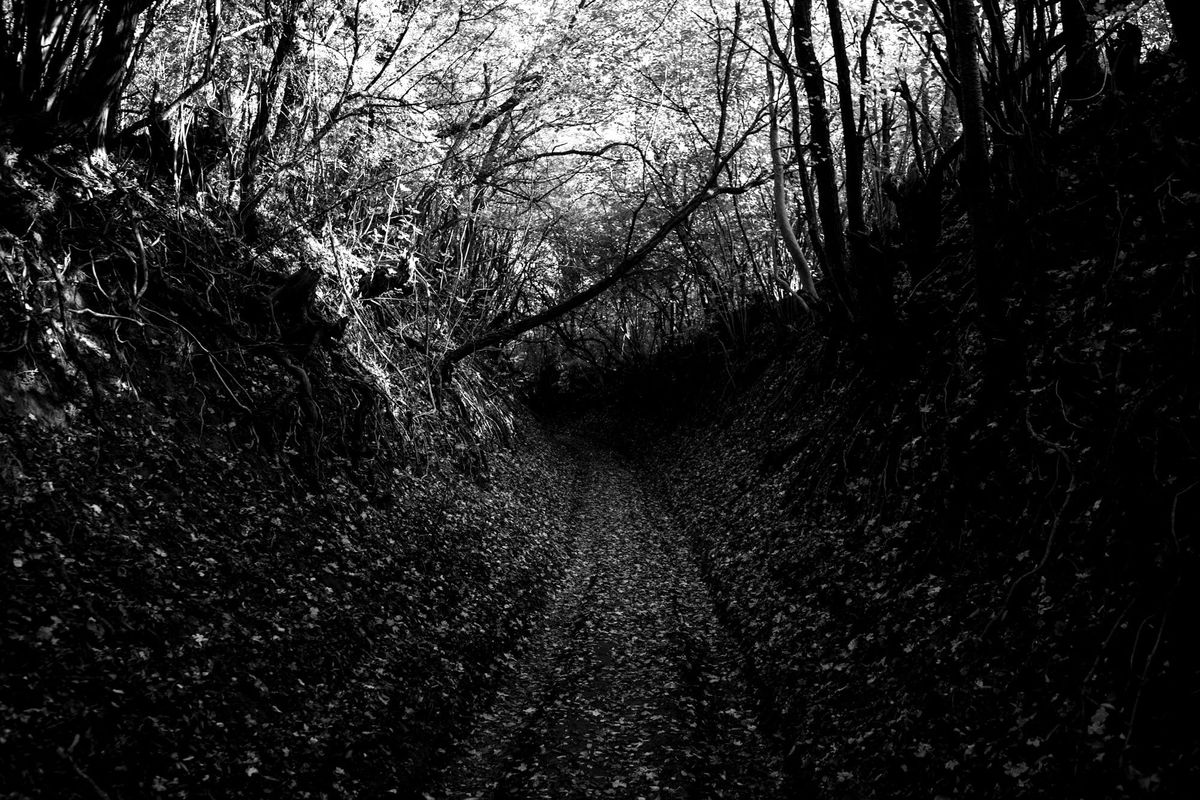 February 21: Finding the Faint Path