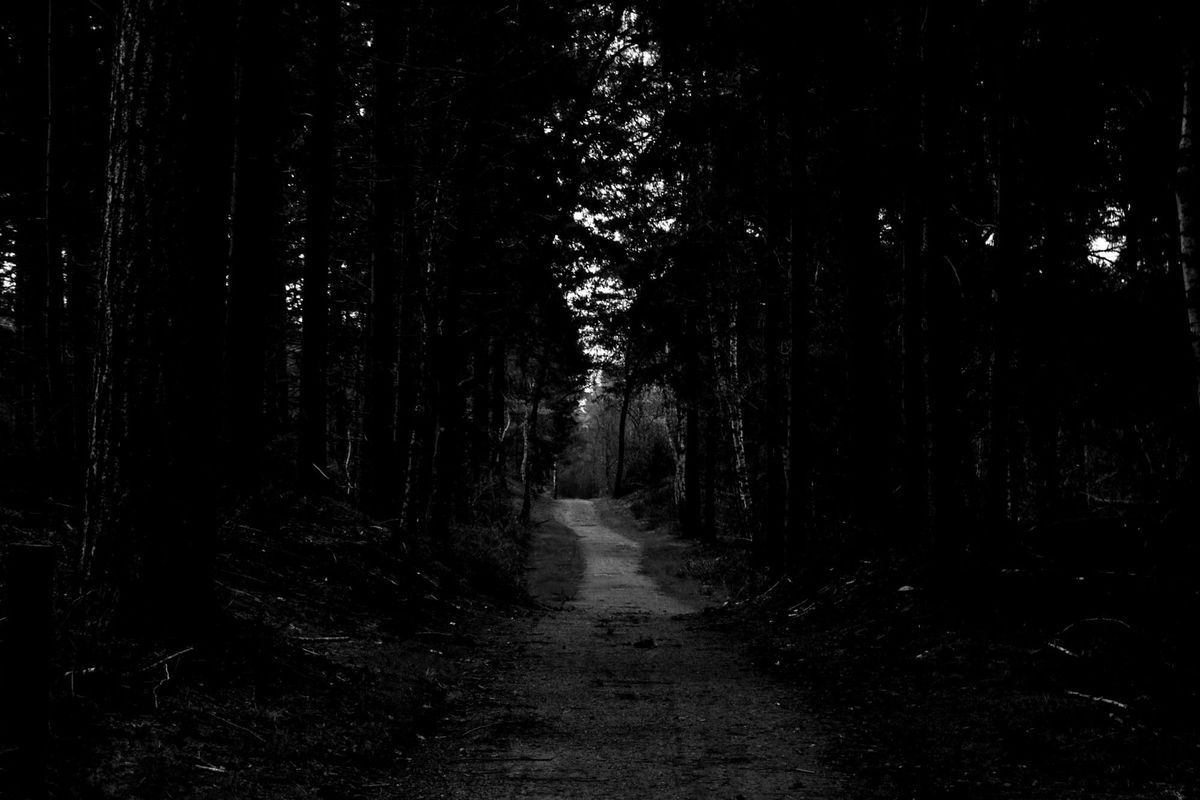 February 18: Trusting the Work God does in the Darkness