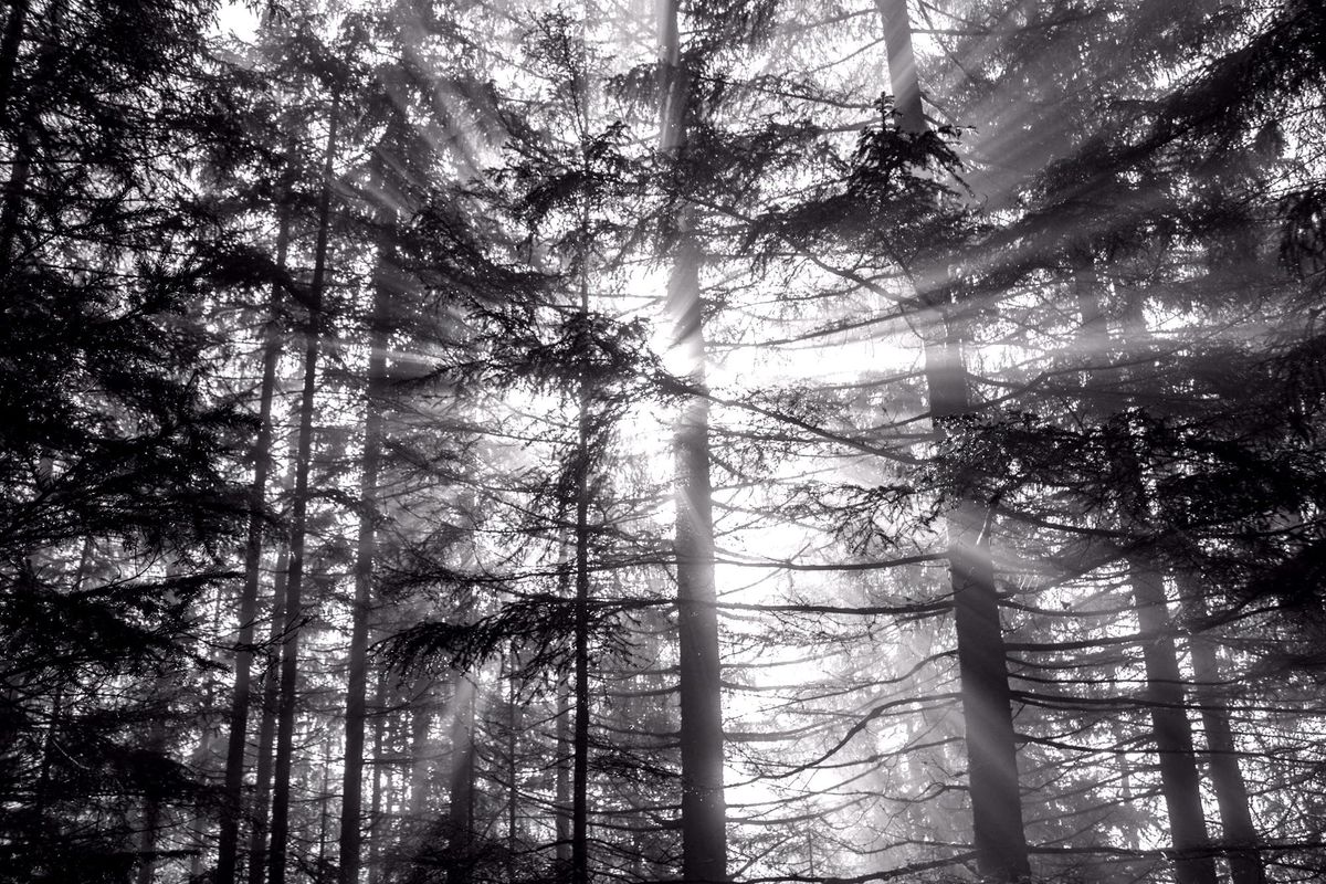 March 9 — God’s Presence in the Ordinary