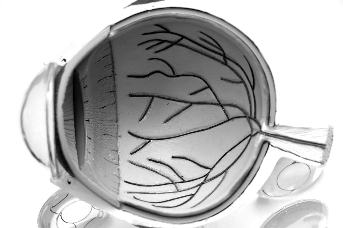 Week Thirteen: Eyes to See. March 26 — The Lens of the Heart