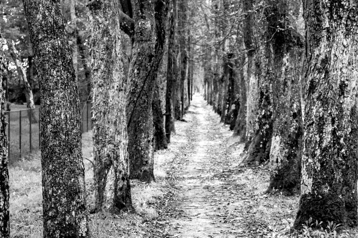 April 8 – The Path of the Fall and the Path of the Return