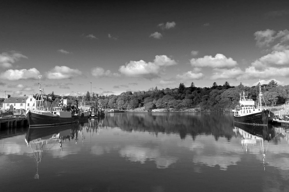 Week Twelve: Equanimity. March 19 – The Power of a Non-Anxious Presence