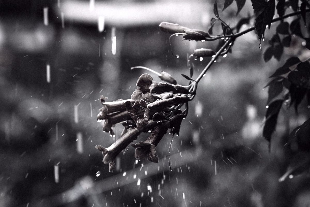 March 31 — Softening to Receive Truth