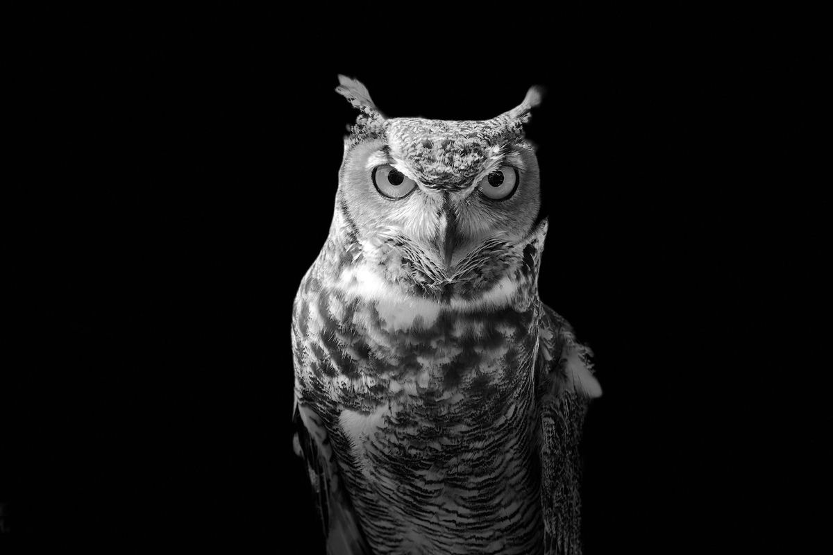 June 10 – Wisdom in Holding Both Sides
