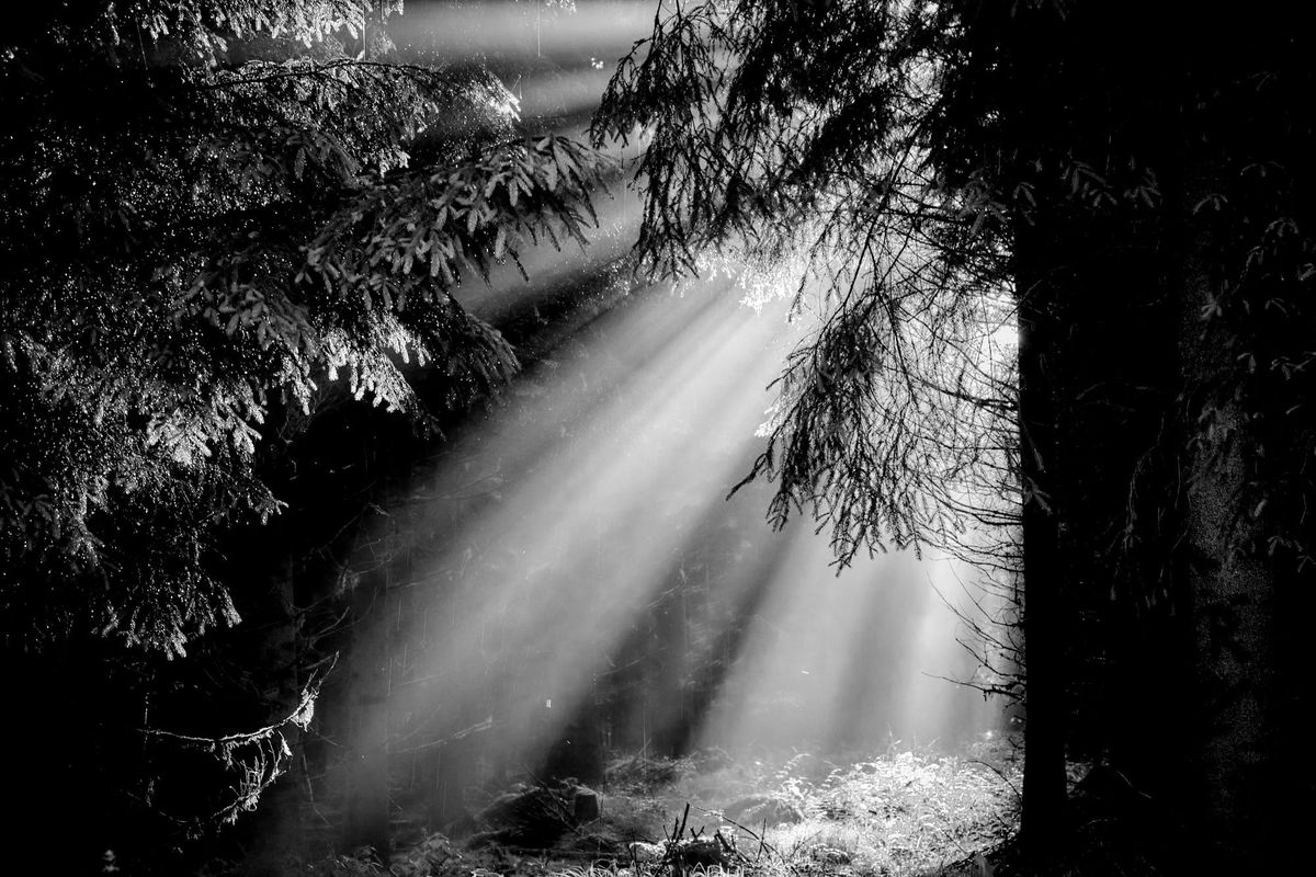 May 19 – The Subversive Nature of Hope