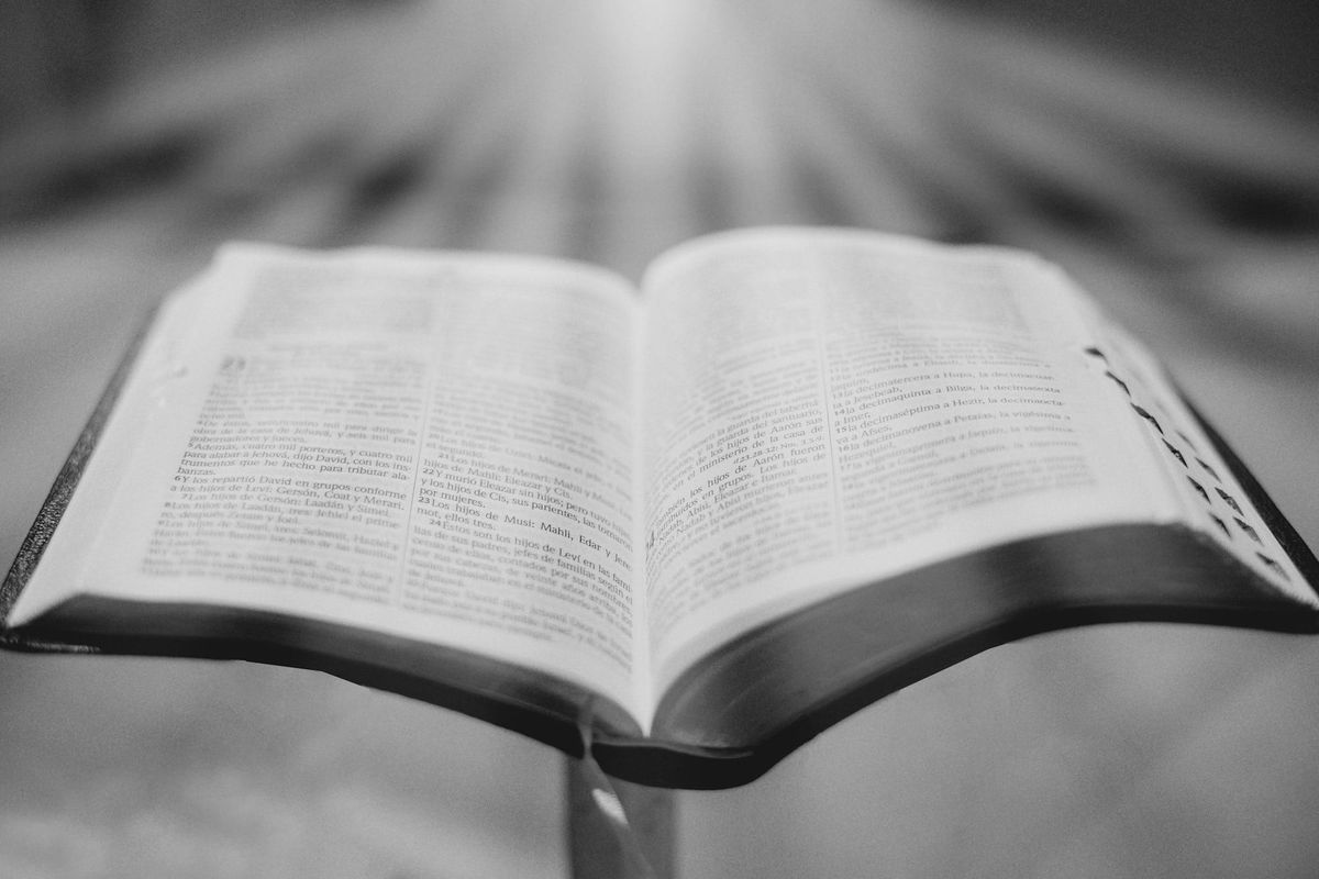 Week Twenty-Four: Lectio/Audio/Visio/Eco Divina. June 11 – Lectio Divina, Step 1: Lectio (Reading)