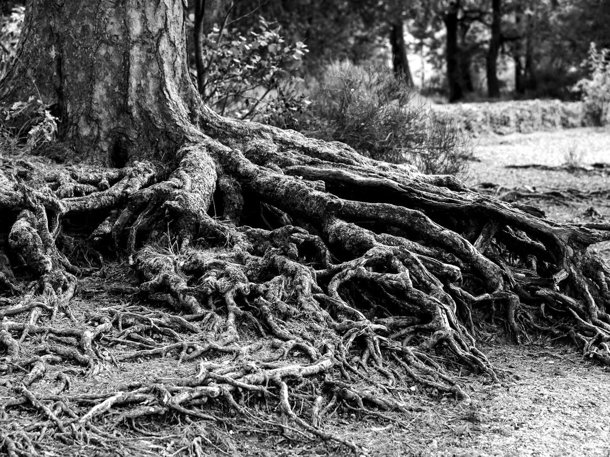 August 7 – The Root of People-Pleasing
