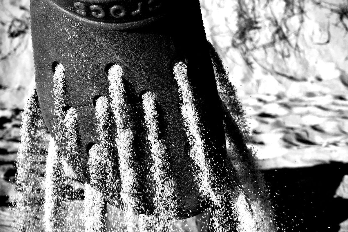 August 16 – Shaking the Dust Off