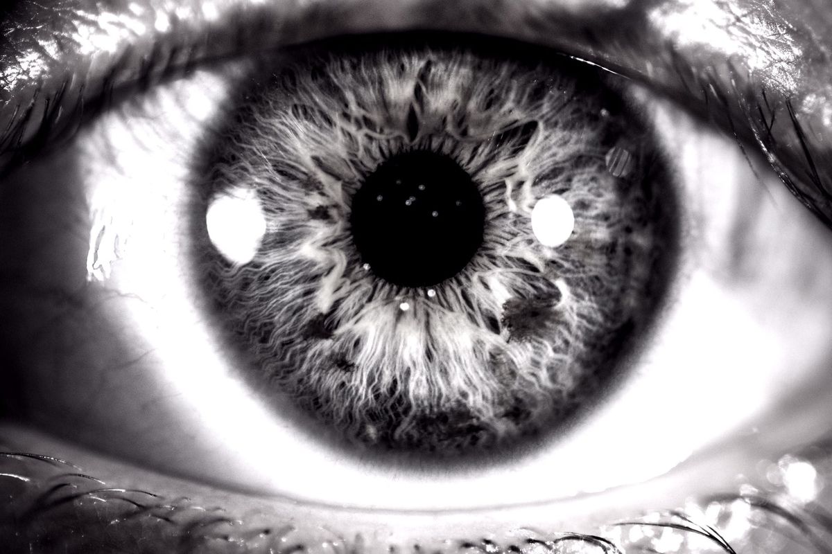September 25 – Projection and the Log in Our Eye