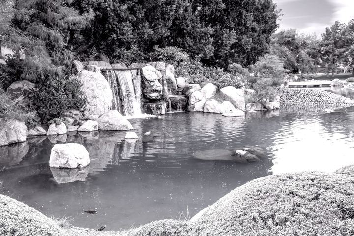 PsychoSpiritual Work / Purifying the Pond