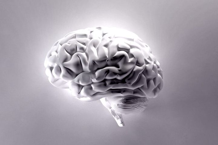 Leadership: Mental Models