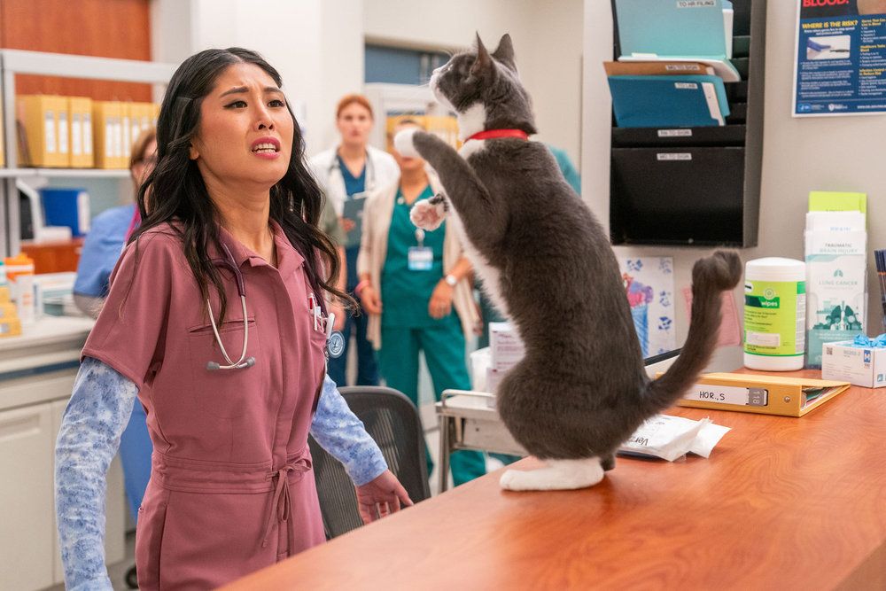 Review: St. Denis Medical, “Buffalo Bruce and Matty the Kid” | Season 1, Episode 12