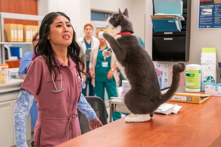 Review: St. Denis Medical, “Buffalo Bruce and Matty the Kid” | Season 1, Episode 12