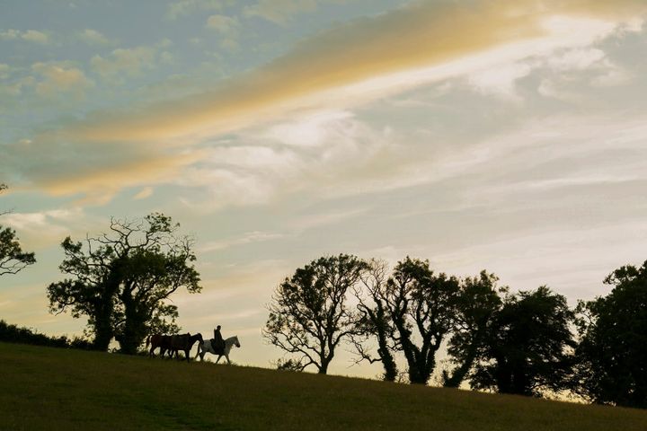 Review: A Knight of the Seven Kingdoms, "The Hedge Knight" | Season 1, Episode 1