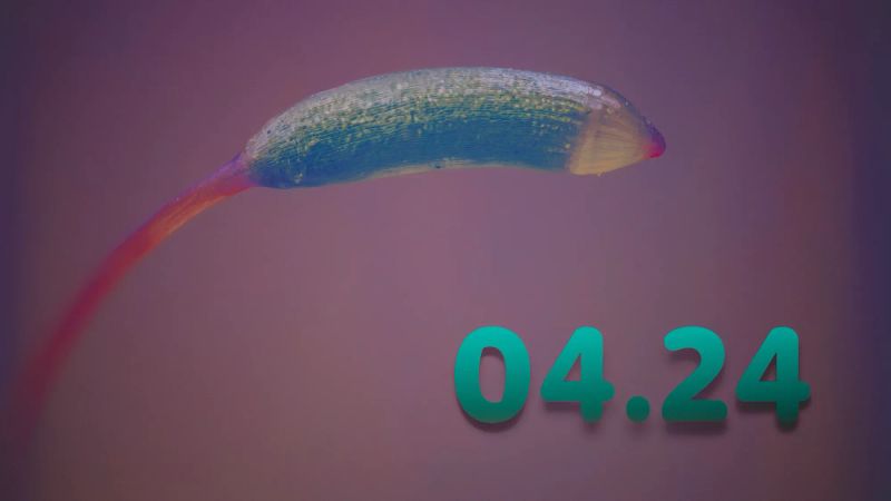 Podsumowanie kwietnia