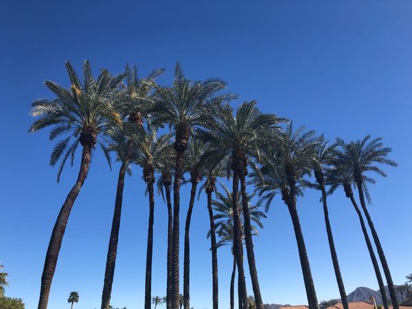 Goodbye California - Post No. 1