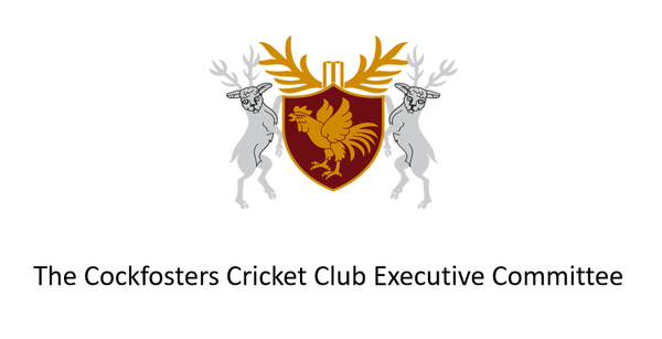 Executive Committee Monthly Update