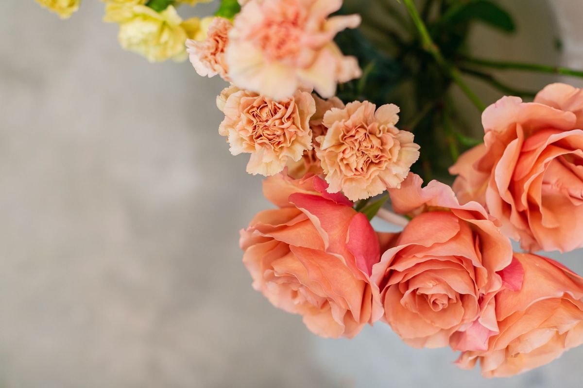 Spring Dream Recap