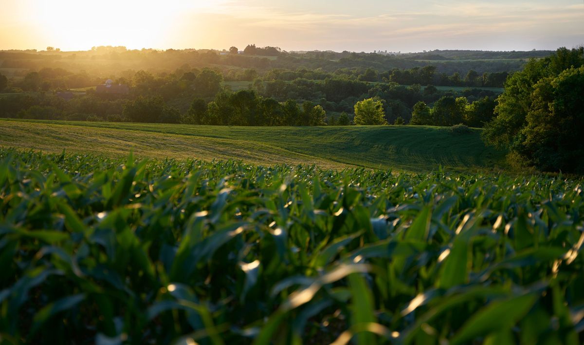 Drift through the Driftless