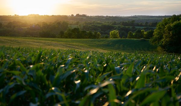 Drift through the Driftless