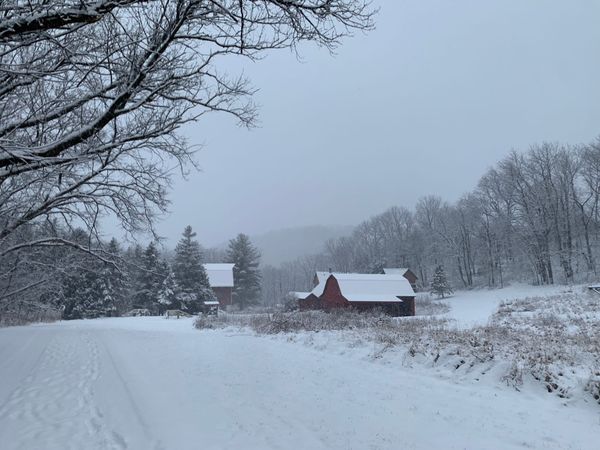 Happy Holidays From Anaway