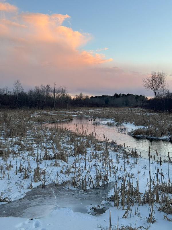 sunray moonbeam midnight daydream #172