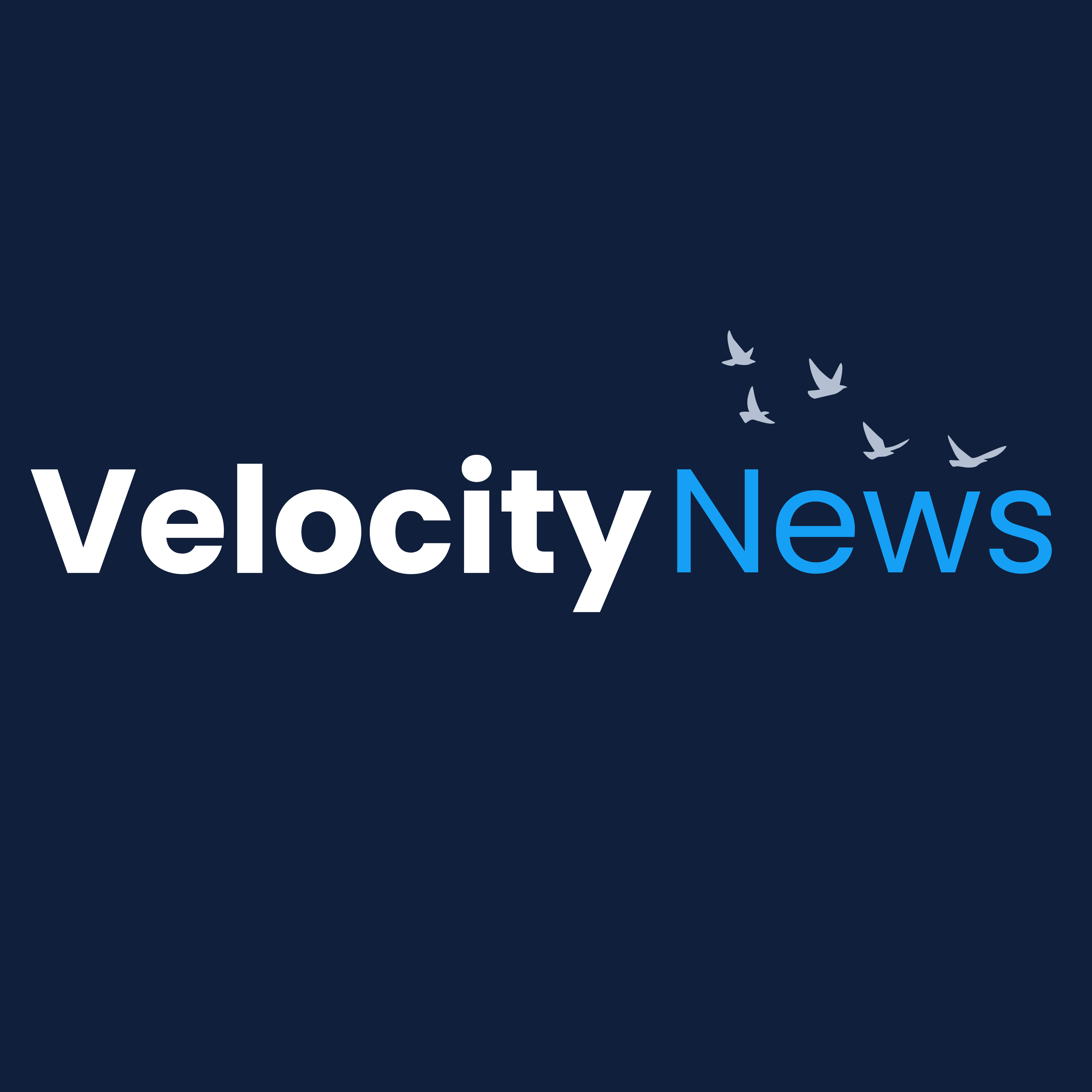Velocity Pigeon News