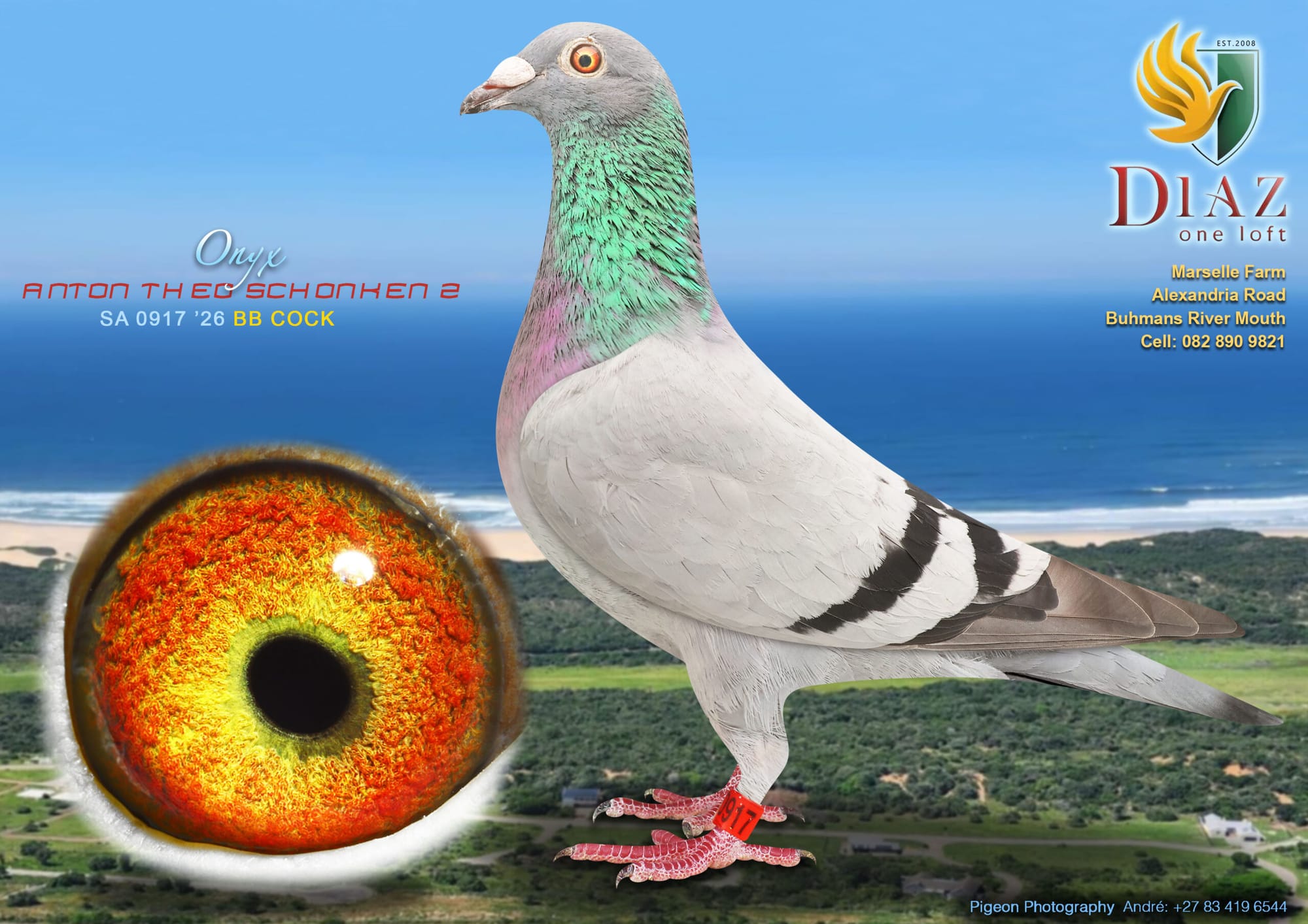 CTA Image
